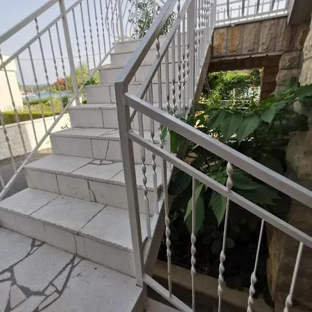 Srdan Vinišće