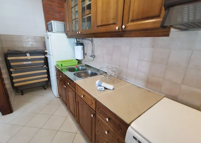 Srdan Vinišće