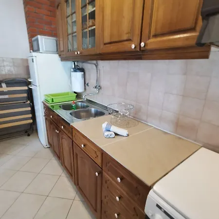 Srdan Vinisce